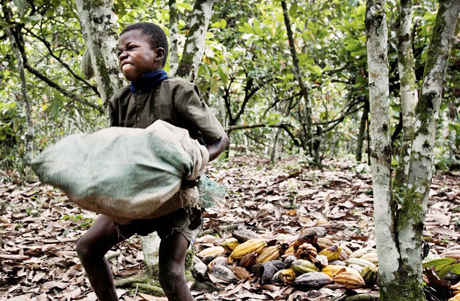 Beware of These 10 Popular Chocolate Brands that Exploit Child Slaves